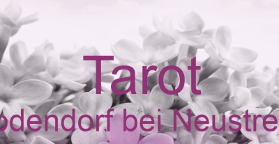Tarot Godendorf bei Neustrelitz | Top-Experten für Kartenlegen, Wahrsagen, Hellsehen, Zukunftsdeutung.